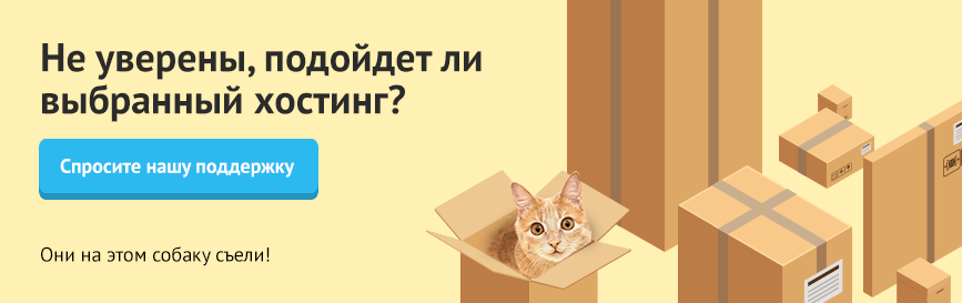 От нашей поддержки так же тепло, как от мягкого живота кота