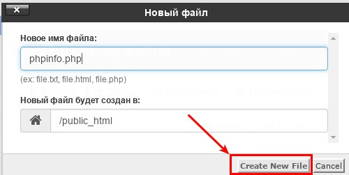 Создание файла phpinfo