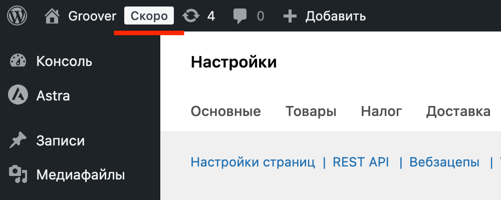 Значок видимости сайта в WooCommerce