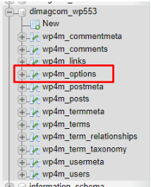 wp_options в базе данных