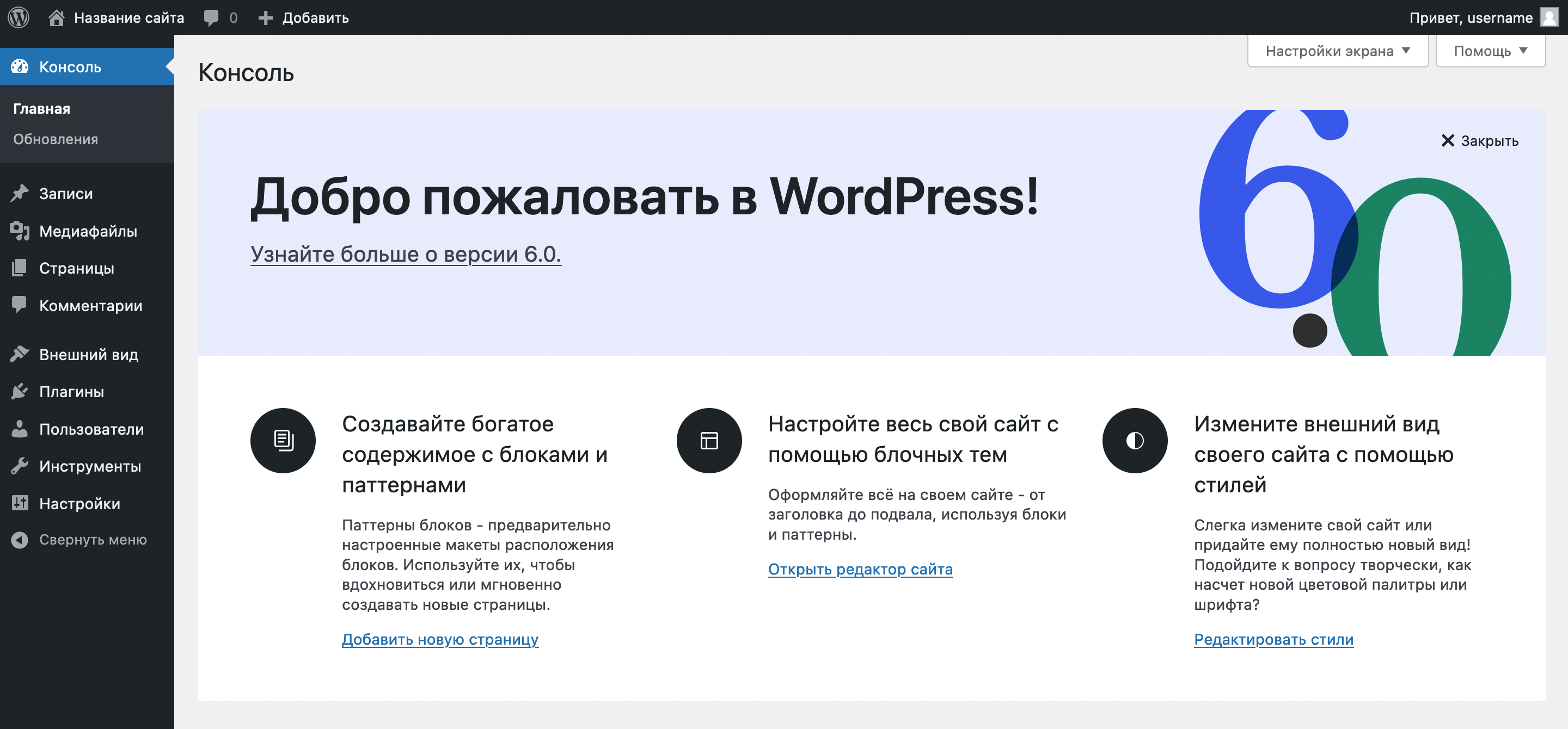 Создание сайта WordPress на локальном компьютере — Домашняя страница консоли