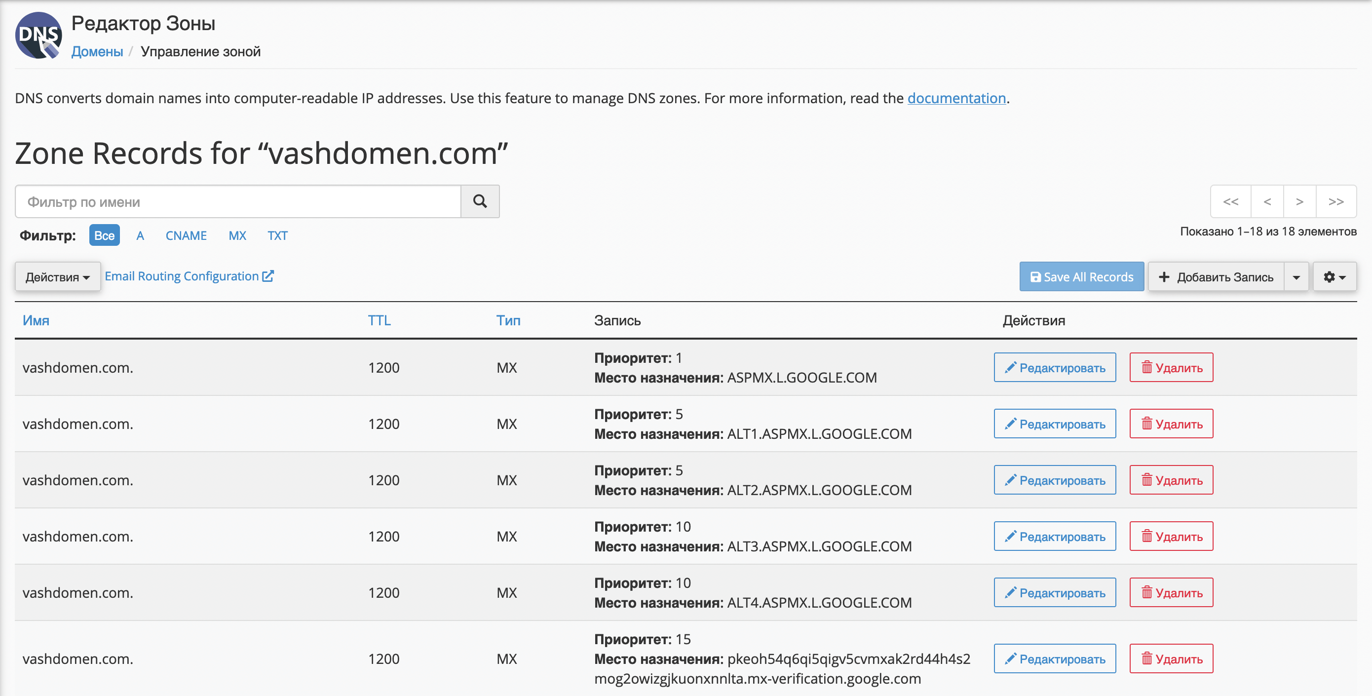 Корпоративная почта со своим доменом от Google. Все MX-записи в зоне домена в cPanel.