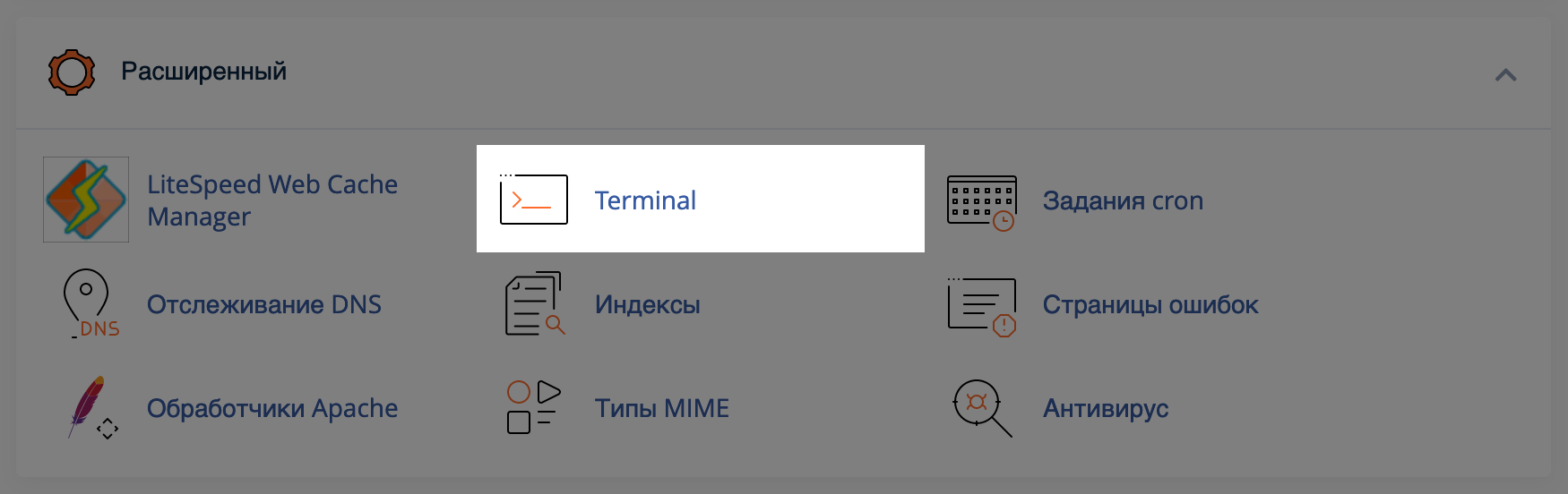 Приложение «Terminal» на главной странице cPanel