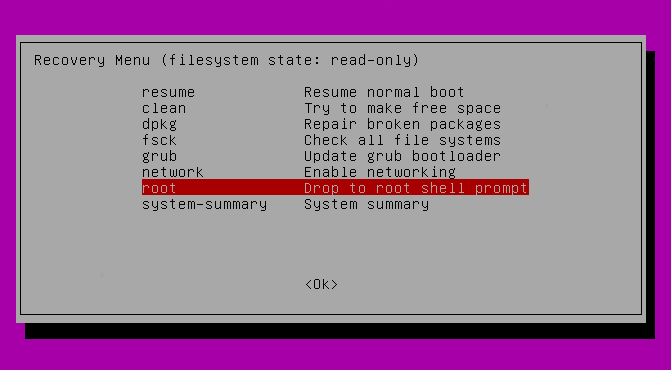 Опция root – Drop to root shell prompt в загрузчике GRUB на сервере с Ubuntu