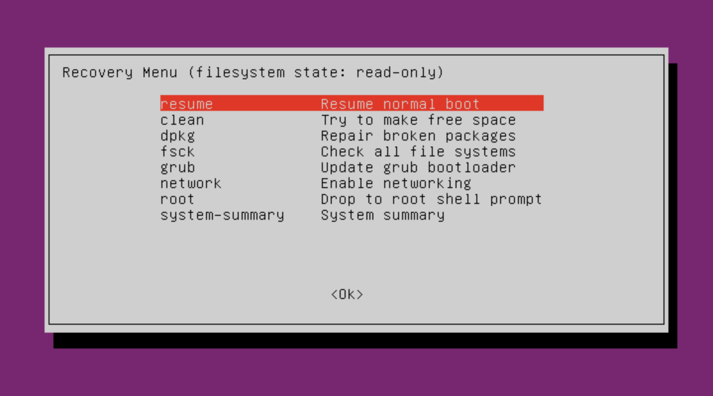 Опция resume – Resume normal boot в загрузчике GRUB на сервере с Ubuntu