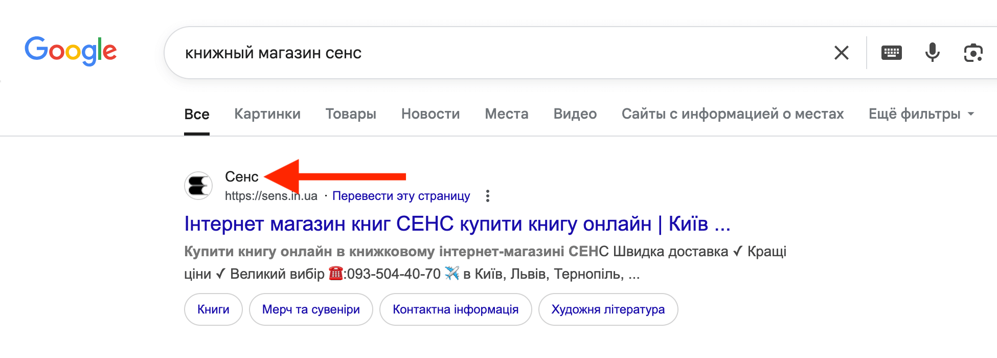 Название сайта в результатах поиска Google